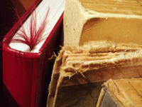 books5.gif